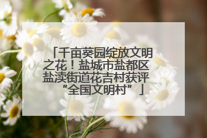 千亩葵园绽放文明之花！盐城市盐都区盐渎街道花吉村获评“全国文明村”