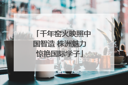 千年窑火映照中国智造 株洲魅力惊艳国际学子