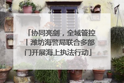 协同亮剑，全域管控丨潍坊海警局联合多部门开展海上执法行动