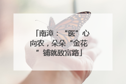 南漳：“医”心向农，朵朵“金花”铺就致富路