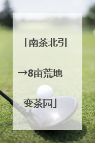 南茶北引→8亩荒地变茶园