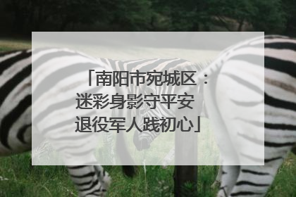 南阳市宛城区：迷彩身影守平安 退役军人践初心