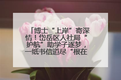 博士“上岸”寄深情！岱岳区人社局“护航”助学子逐梦，一纸书信道尽“根在岱岳”的眷恋