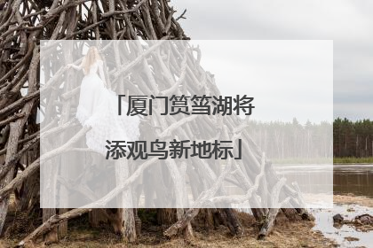 厦门筼筜湖将添观鸟新地标