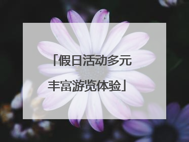 假日活动多元 丰富游览体验