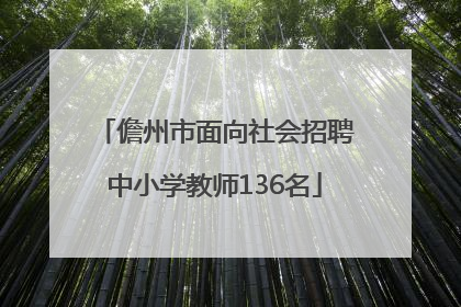 儋州市面向社会招聘中小学教师136名