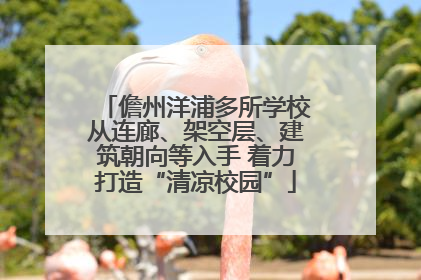 儋州洋浦多所学校从连廊、架空层、建筑朝向等入手 着力打造“清凉校园”