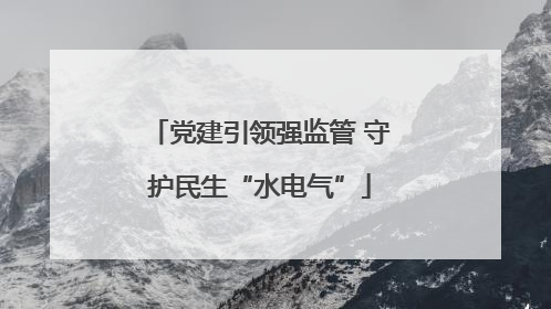 党建引领强监管 守护民生“水电气”