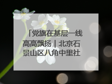 党旗在基层一线高高飘扬｜北京石景山区八角中里社区党委：用脚步丈量民生