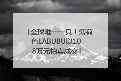 全球唯一一只！薄荷色LABUBU以108万元拍卖成交