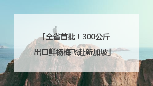 全省首批！300公斤出口鲜杨梅飞赴新加坡