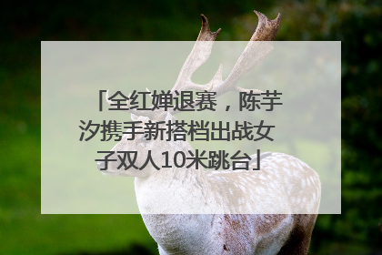 全红婵退赛，陈芋汐携手新搭档出战女子双人10米跳台
