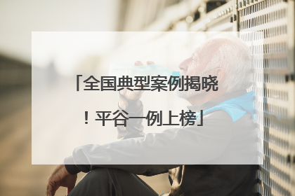 全国典型案例揭晓！平谷一例上榜