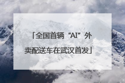 全国首辆“AI”外卖配送车在武汉首发