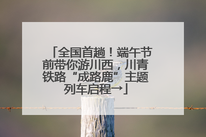 全国首趟！端午节前带你游川西，川青铁路“成路鹿”主题列车启程→