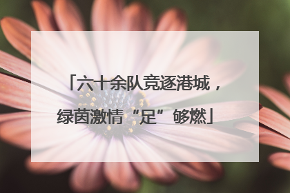 六十余队竞逐港城，绿茵激情“足”够燃