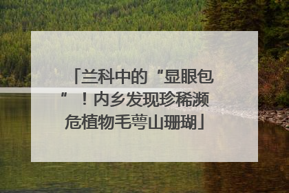 兰科中的“显眼包”！内乡发现珍稀濒危植物毛萼山珊瑚