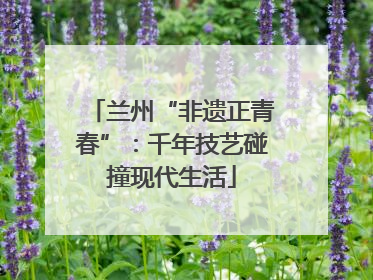 兰州“非遗正青春”：千年技艺碰撞现代生活