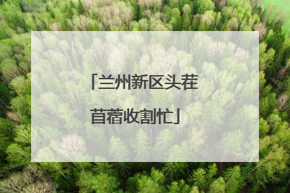 兰州新区头茬苜蓿收割忙