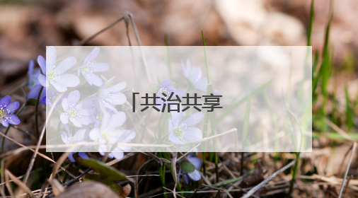共治共享 幸福升级