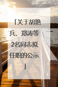 关于胡艳兵、郑涛等2名同志拟任职的公示