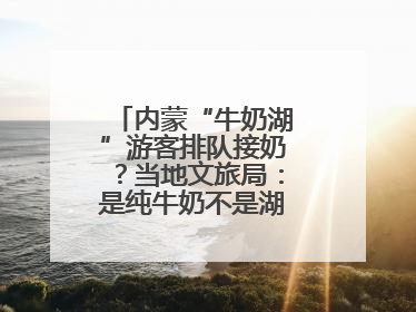 内蒙“牛奶湖”游客排队接奶？当地文旅局：是纯牛奶不是湖水，可放心喝