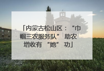内蒙古松山区：“巾帼三农服务队” 助农增收有 “她” 功