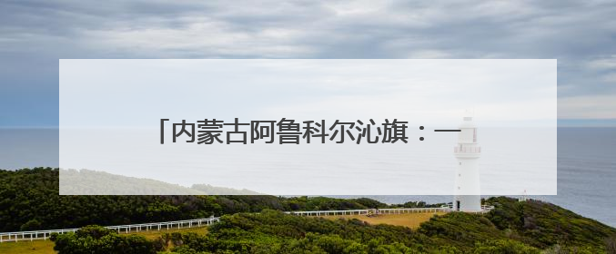内蒙古阿鲁科尔沁旗：一棵草开启产业发展之路