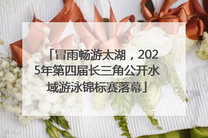 冒雨畅游太湖，2025年第四届长三角公开水域游泳锦标赛落幕