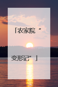 农家院“变形记”