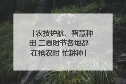 农技护航、智慧种田 三夏时节各地都在抢农时 忙耕种