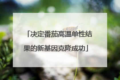 决定番茄高温单性结果的新基因克隆成功