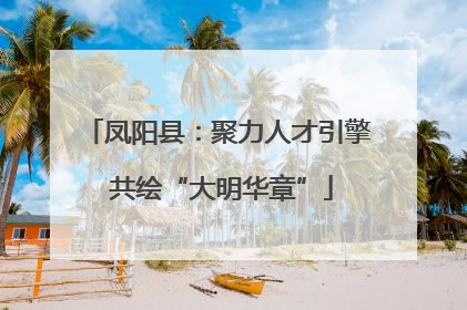 凤阳县：聚力人才引擎 共绘“大明华章”
