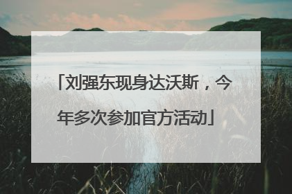 刘强东现身达沃斯，今年多次参加官方活动