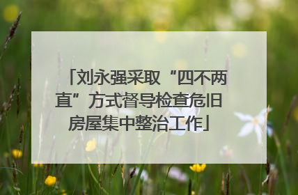 刘永强采取“四不两直”方式督导检查危旧房屋集中整治工作