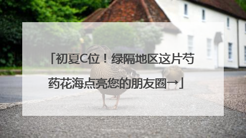 初夏C位！绿隔地区这片芍药花海点亮您的朋友圈→
