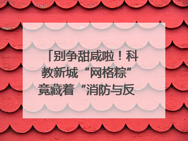 别争甜咸啦！科教新城“网格粽”竟藏着“消防与反诈秘籍”