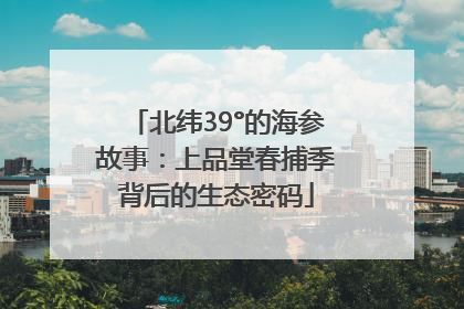 北纬39°的海参故事：上品堂春捕季背后的生态密码