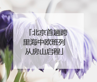 北京首趟跨里海中欧班列从房山启程