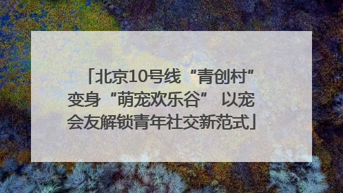 北京10号线“青创村”变身“萌宠欢乐谷” 以宠会友解锁青年社交新范式