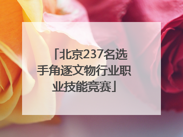 北京237名选手角逐文物行业职业技能竞赛