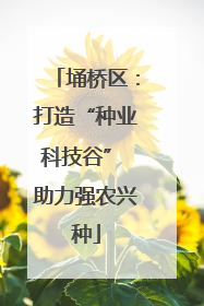 埇桥区：打造“种业科技谷” 助力强农兴种