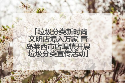 垃圾分类新时尚 文明店埠入万家 青岛莱西市店埠镇开展垃圾分类宣传活动