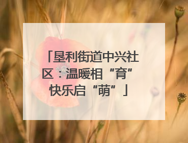垦利街道中兴社区：温暖相“育” 快乐启“萌”