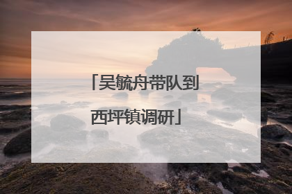 吴毓舟带队到西坪镇调研