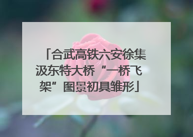 合武高铁六安徐集汲东特大桥“一桥飞架”图景初具雏形