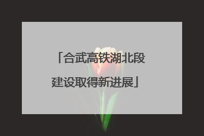 合武高铁湖北段建设取得新进展