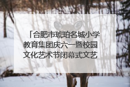合肥市琥珀名城小学教育集团庆六一暨校园文化艺术节闭幕式文艺汇演圆满举行