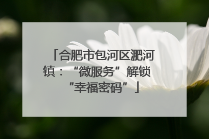 合肥市包河区淝河镇：“微服务”解锁“幸福密码”