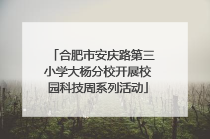 合肥市安庆路第三小学大杨分校开展校园科技周系列活动
